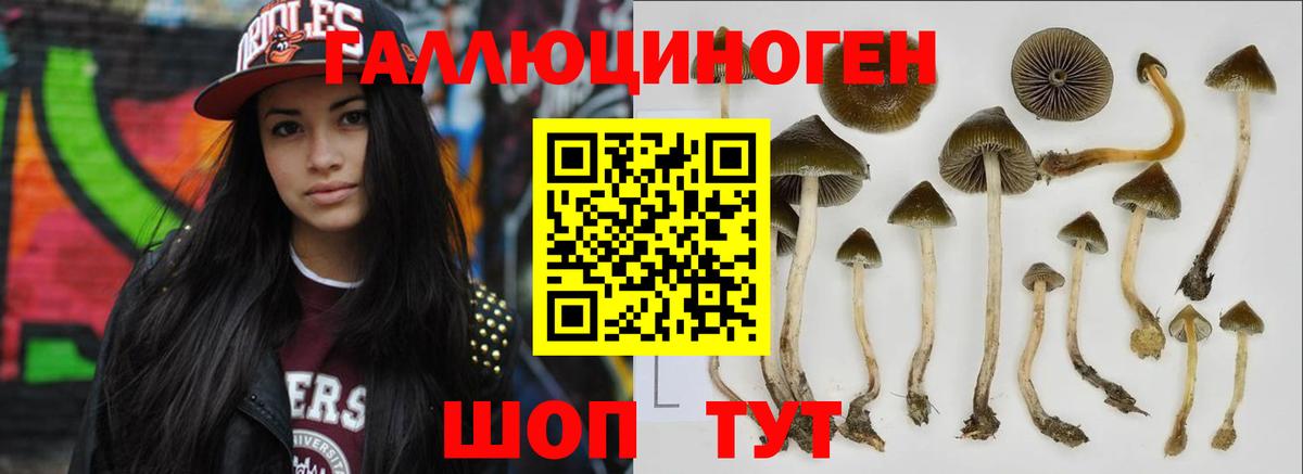Прокопьевск  Галлюциногенные грибы мухоморы  купить   Вход с VPN 